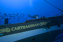 "The Carthaginian", a Lahaina landmark, was sunk as an artifical reef off Maui, Hawaii in December 2005.