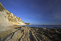 St Oswalds Bay towards Durdle Door, Dorset. Jurassic Coast World Heritage Site. September 2005.