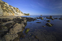Rock pools at St Oswalds Bay, looking towards Durdle Door, Dorset. Jurassic Coast World Heritage Site. May 2006.