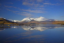 Loch na h'Achlaise on Rannoch Moor, with Black Mount reflecting in still water in the early morning. Scotland, UK. February 2006.