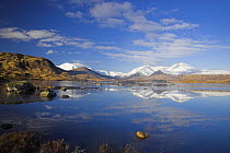 Loch na h'Achlaise on Rannoch Moor, with Black Mount reflecting on still water in the early morning. Scotland, UK. February 2006.