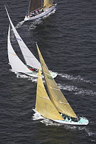 "Intrepid" and "Nefertiti" sailing upwind in the 12 Metre World Competition 2005, Newport, Rhode Island, USA.