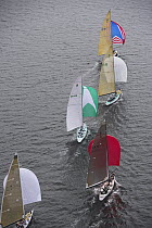 "Intrepid", "Courageous", "Challenge 12" and "Freedom" racing downwind under spinnakers during the 12 Metre World's Competition 2005, Newport, Rhode Island, USA.