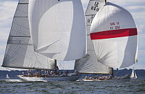 Two classic wooden 12 Meters race downwind under spinnakers during the 12 Metre World's Competition 2005, Newport, Rhode Island, USA.