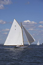 A NY 30 racing downwind wing on wing during the 2005 Museum of Yachting Classic Yacht Regatta, Newport, Rhode Island, USA.