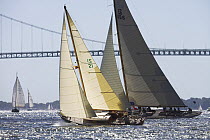 Variety of classic yachts race beside the Newport Bridge during the 2005 Museum of Yachting Classic Yacht Regatta, Newport, Rhode Island, USA.
