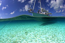 Split-level view of the hull of the Shannon Shoalsailor illustrating how this innovative, keelless, shallow draft beachboat is designed to roam shallow waters, Exuma, Bahamas. Model and Property relea...
