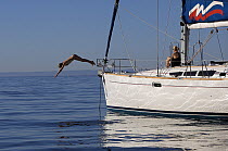 Diving off the bow of an anchored sailboat, Puerto Gallena, Mexico.