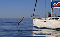 Diving off the bow of an anchored sailboat, Puerto Gallena, Mexico. Model and Property Released.