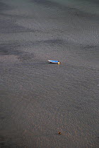 A small dinghy anchored in shallow water, Caleta dela Isla, Mexico.