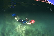 Young boy playing with a seascooter in the clear water of Ensenada Grande in Baja, Mexico. Model released.
