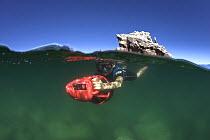 Split-level view of a young boy playing with a seascooter in the clear water of Ensenada Grande, Baja, Mexico. Model released.