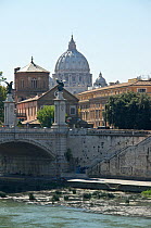 The Vittorio Emanuele Bridge spans the river Tiber (Tevere) in Rome, Italy. The dome of Saint Peter's church can be seen towering in the background. Saint Peter's Basilica is perhaps the largest churc...