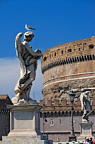 A seagull perching on one of the statues that adorns the Ponte Sant' Angelo (Angel's bridge), Rome, Italy. The bridge, also known as Pons Aelius, spans the river Tiber and leads to the Castel Sant'Ang...