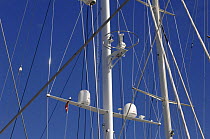 Rig of a yacht with courtesy and customs flags flying.