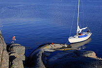 Boy on rocks in front of IF Folkboat in the Swedish West Coast Archipelago, between Marstrand and Gullholmen, during family holiday, 2006.