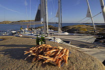 Lobster and beer on shore awaiting consupmtion, in the background are two yachts at anchor.