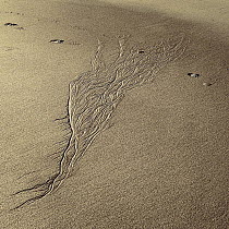 Patterns in the sand when the tide has retreated on the beach at Saint-Malo, Brittany, France.