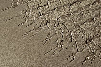 Abstract patterns in the sand when the tide has retreated on a beach in St Malo, Brittany, France.