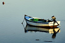 Wooden tender tied to a buoy in the calm waters of Locmariaquer, Morbihan, Brittany, France.