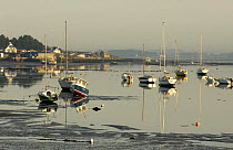 Boats on the mud at low tide in Locmariaquer harbours, Gulf of Morbihan, Brittany, France.