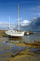 Wooden boats on the riverbed in the morning, at low tide near Paimpol, Brittany, France.