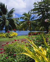 Exotic flowers and lush vegetation with a cruising yacht anchored in the bay behind, Marquesas Islands, French Polynesia.