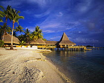 Beach huts, palm trees and a jetty in a tourist resort on Rangiroa, French Polynesia.