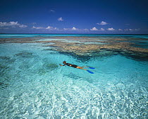 Snorkeler over a coral reef in Rangiroa, French Polynesia.
