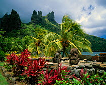 Lush vegetation and traditional statues in the Marquesas Islands, French Polynesia.