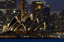 Sydney Harbour with Opera House and skyscrapers at night, Sydney, Australia.
