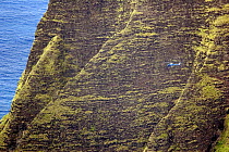 Tourist helicopter on tour of Kalalau Valley, Kauai, Hawaii.