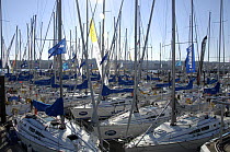 Yachts in marina during Skandia Cowes Week, UK, day 2, August 5, 2007.