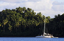 A sailboat anchored on the palm tree lined coast of Dominican Republic, Caribbean.