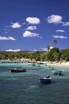 Small wooden motorboats anchored in the waters of Esperanza, Vieques, Puerto Rico.