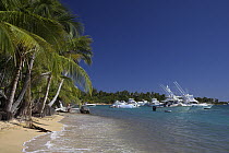 Motor boats anchored off the beach in Green Beach, Vieques, Puerto Rico.