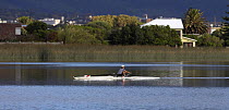 A man rowing in Zeekoevlei, Cape Town, South Africa.