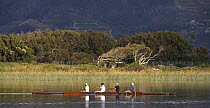 Men rowing in Zeekoevlei, Cape Town, South Africa.