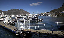 Boats moored in Hout Bay Harbour in Zeekoevlei, Cape Town, South Africa.