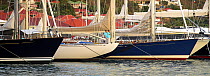 Superyachts lined up on the docks in St Barths before the St. Barths Bucket Regatta, St Barthelemy, Caribbean.
