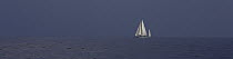 A lone sailboat racing under dark skies, St Barths Bucket Regatta, St Barthelemy, Caribbean.