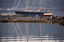 Two sailboats moored in Southwest Harbour with their masts reflected in the water, Maine, USA.