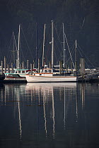 Moored fishing boats and sailboats with their masts reflected in the still waters of Southwest Harbour, Maine, USA.