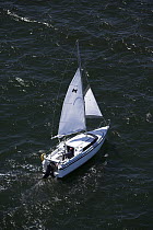 A cruising boat with reefed sails sailing in Newport, Rhode Island, USA.