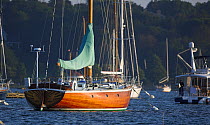 Wooden sailboat "Van ki pass" moored in Newport Harbor in the afternoon sun, Rhode Island, USA.