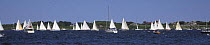 Sailboats sail past the shores of Newport just after the start of the 2006 Newport to Bermuda Race, Rhode Island, USA.