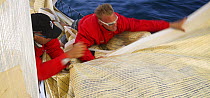 The crew onboard "Maximus" working to keep the sail on the deck and not in the water during the take down in the 2006 Newport to Bermuda Race.