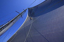 A crew member of "Maximus" going up the rigging to check out the sails during the 2006 Newport to Bermuda Race.