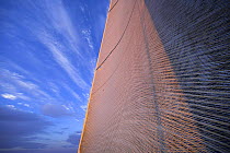 The textured sail of "Maximus" contrasting with the blue sky behind, 2006 Newport to Bermuda race.