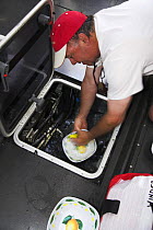 Cleaning dishes in a small sink onboard "Maximus", during the 2006 Newport to Bermuda race.